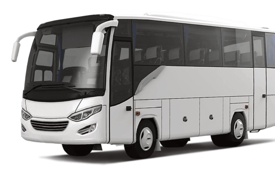 Medium Bus